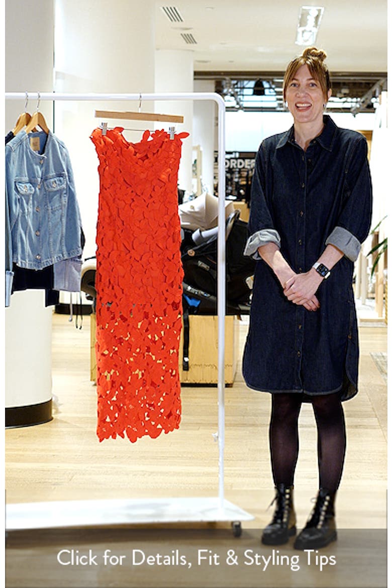 Philomena Sleeveless Lace Midi Dress video