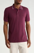 Rodd & Gunn Gowerville Tipped Polo