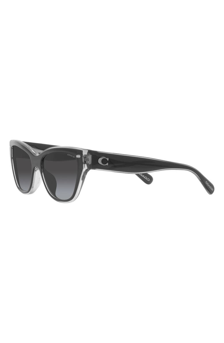 COACH 54mm Gradient Cat Eye Sunglasses, Alternate, color, 