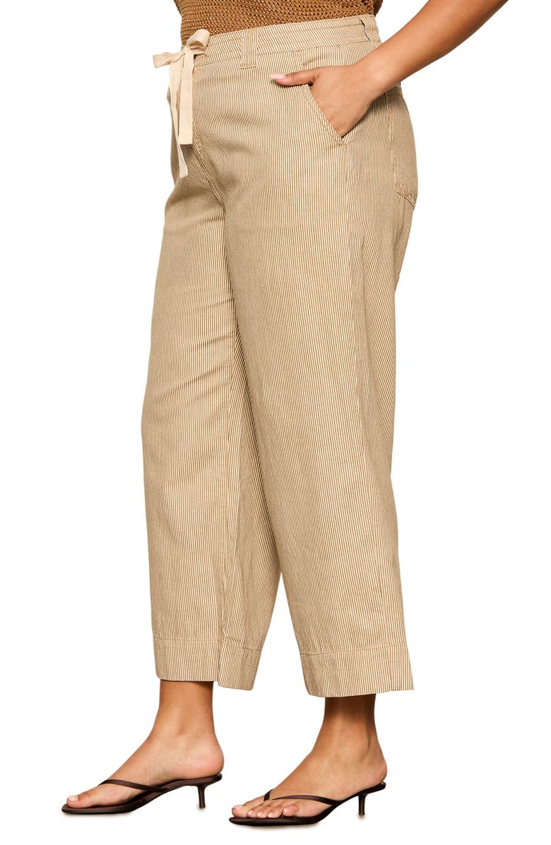Sanctuary Lily Stripe Crop Pants, Alternate, color, Brown