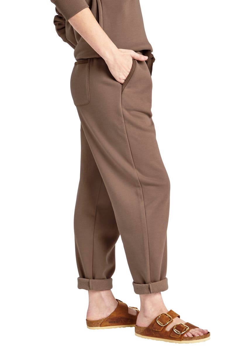 Splendid Goldie Drawstring Joggers, Alternate, color, Toffee