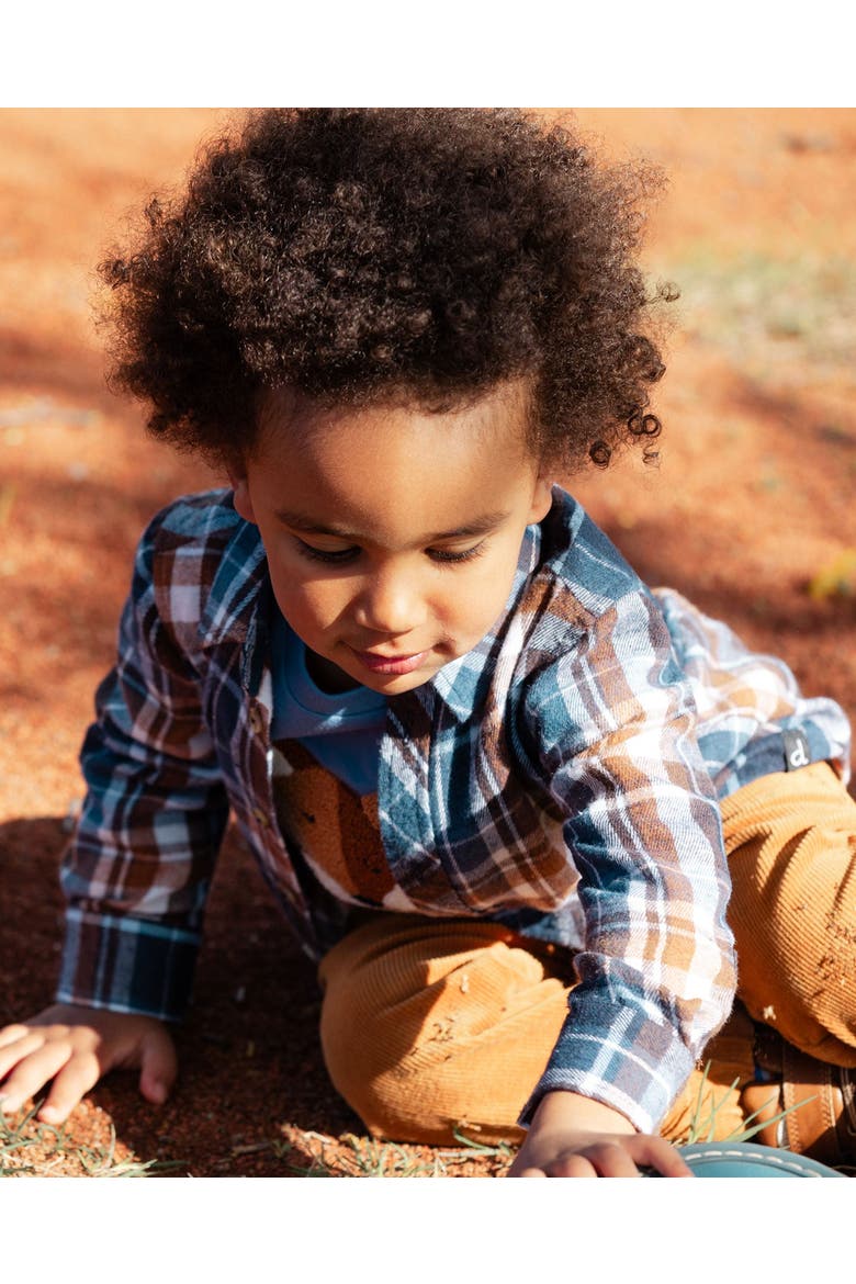 Boy's Long Sleeve Button Down Shirt Plaid Blue And Hazel, Alternate, color, Plaid Blue & Brown
