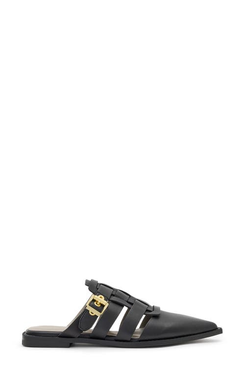 Shop Allsaints Nala Pointed Toe Mule In Black