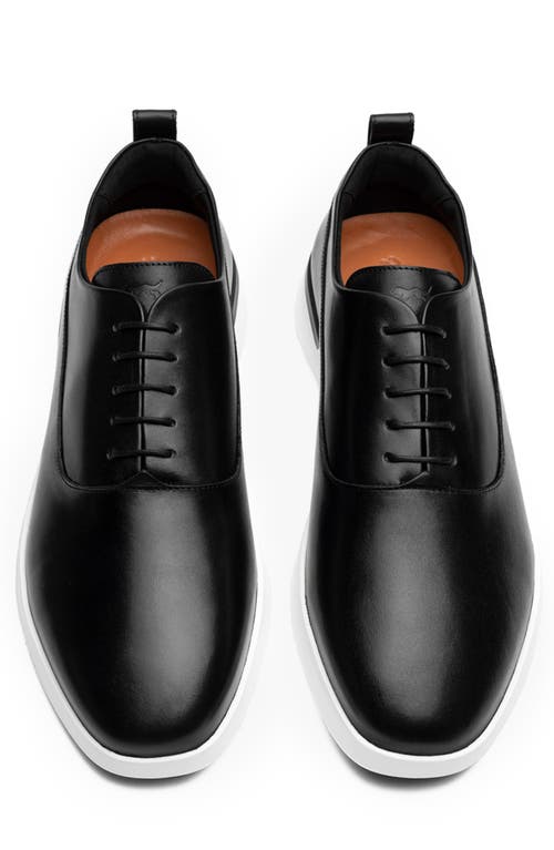 Wolf & Shepherd Crossover™ Longwing Blucher In Multi