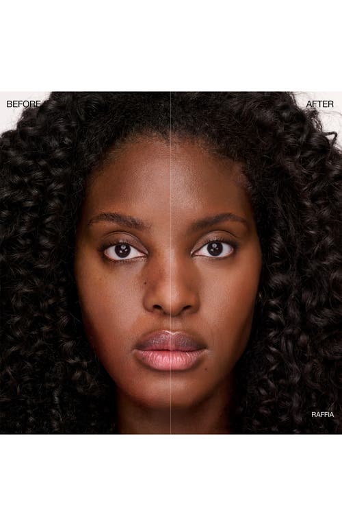 Ogee Complexion Perfecting Concealer In Brown