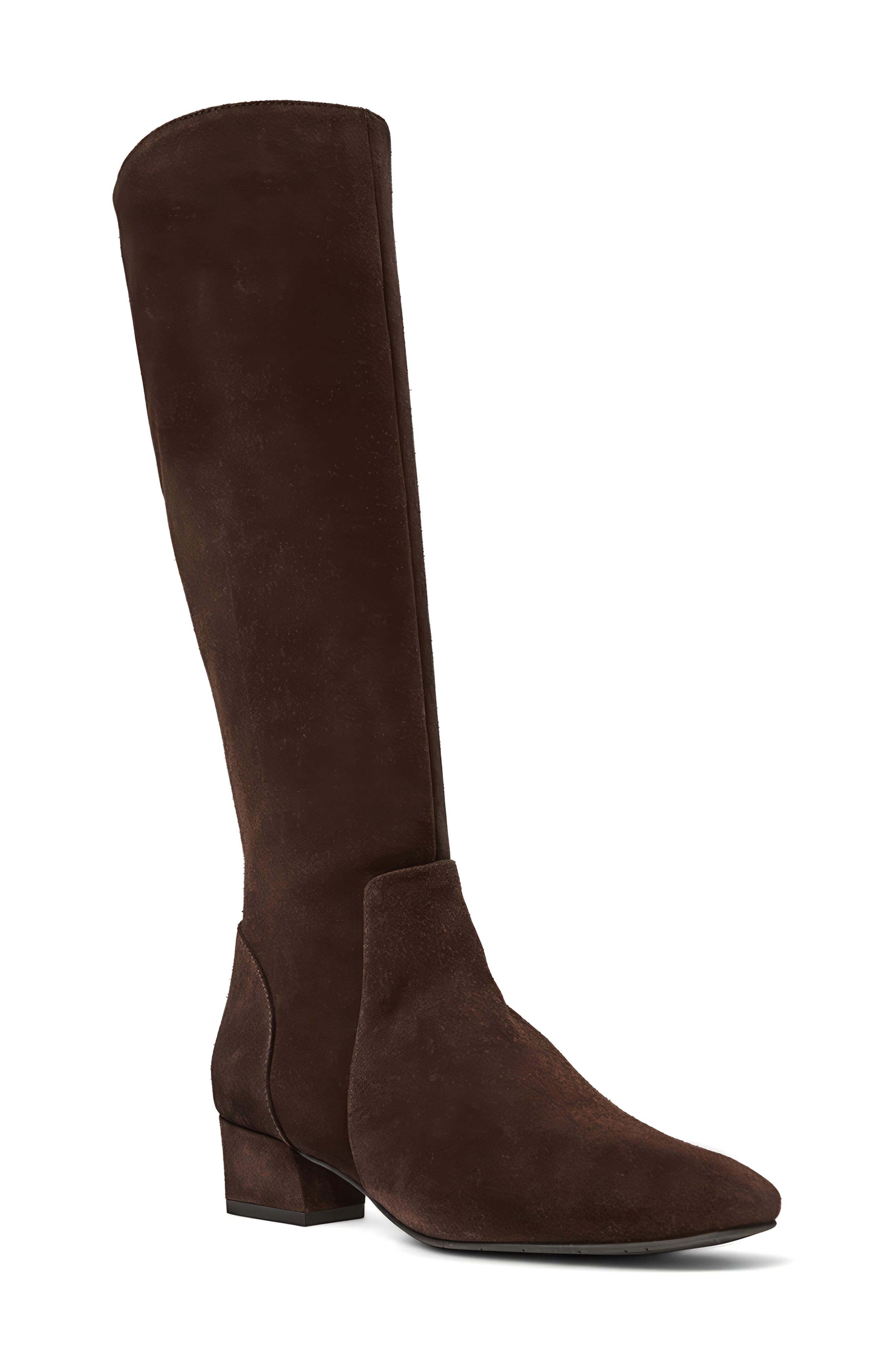 Aquatalia Serafina Weatherproof Knee High Boot, Main, color, Espresso Suede