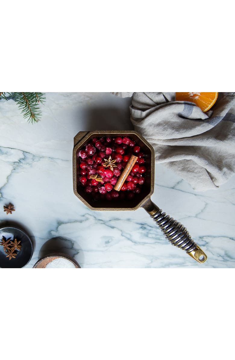 FINEX 1 Quart Cast Iron Sauce Pan, Alternate, color, Black