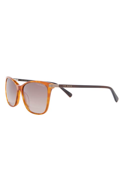 Ted Baker 57mm Gradient Square Sunglasses In Brown