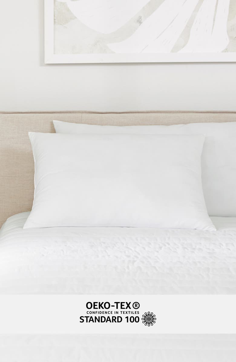 HOMESPUN Good Plush Set of 2 Pillows, Alternate, color, White