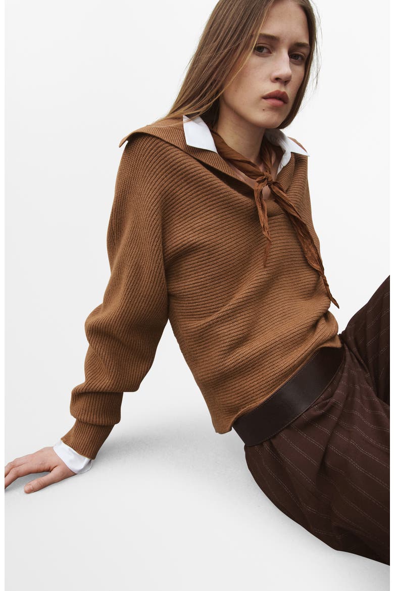 Rib Johnny Collar Sweater, Alternate, color, TOBACCO BROWN