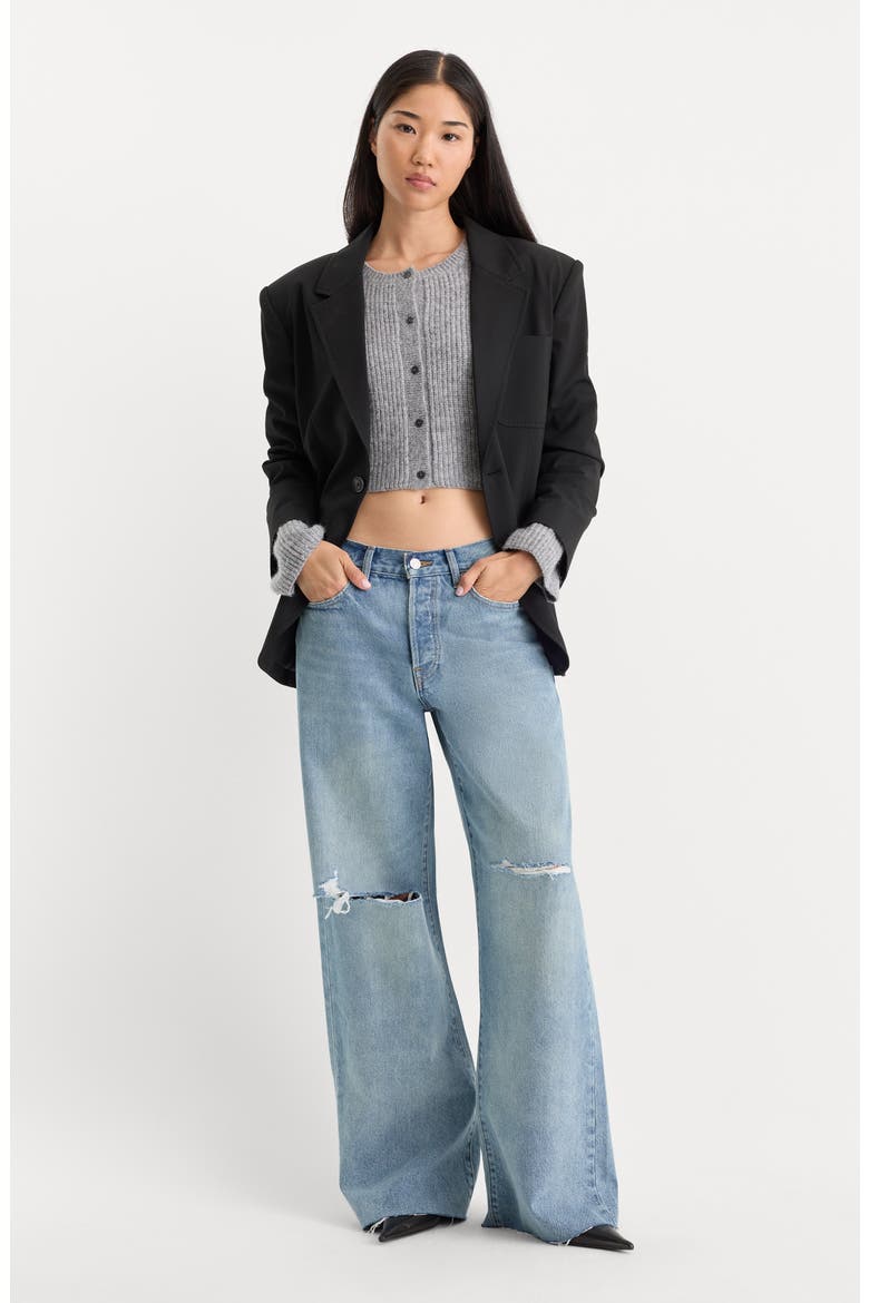 Low Slung Ripped Wide Leg Baggy Jeans, Alternate, color, TERRA