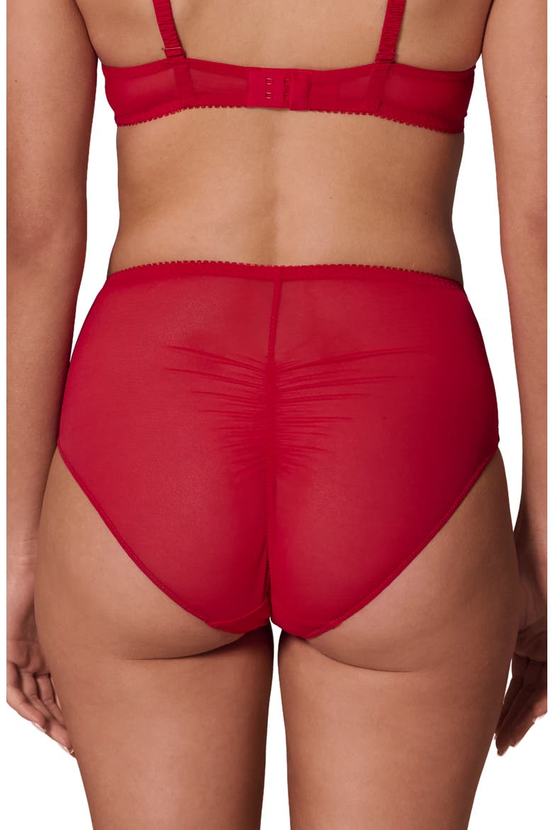 Intrigue Floral Embroidered Briefs, Alternate, color, OPERA RED