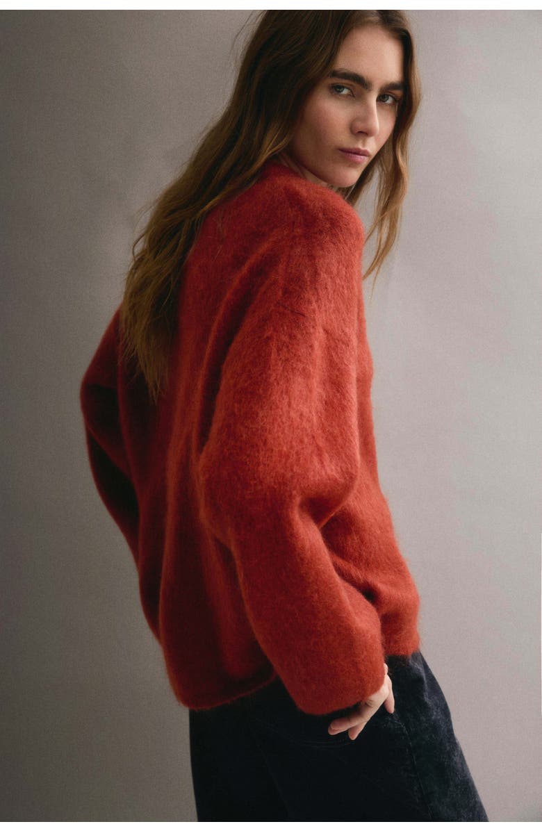 H&M Oversized Mohair-blend Jumper, Alternate, color, Burnt Orange