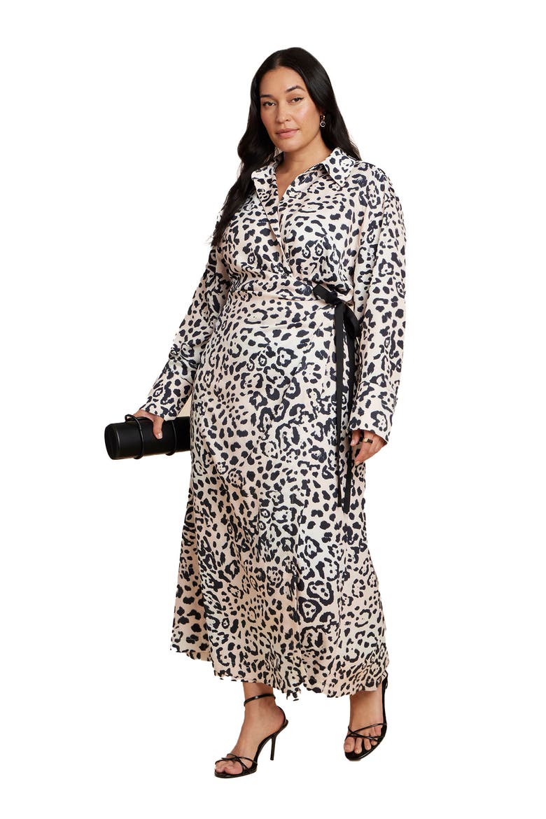 Wrap Detail Maxi Dress, Main, color, LEOPARD
