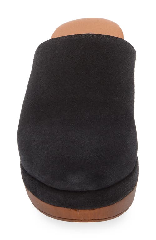 Cordani Wanda Clog In Black
