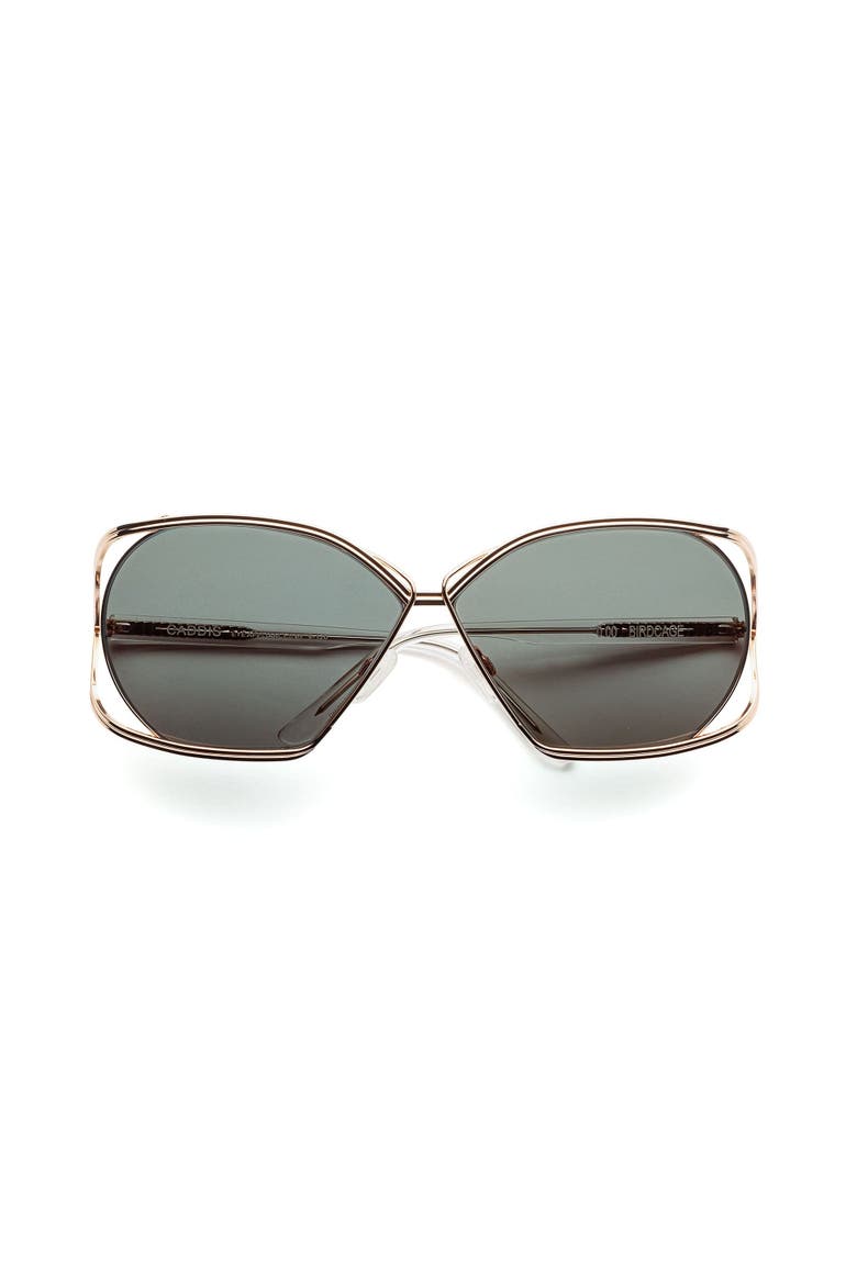 Birdcage | Polarized Sunglasses, Main, color, Polished Rose Gold