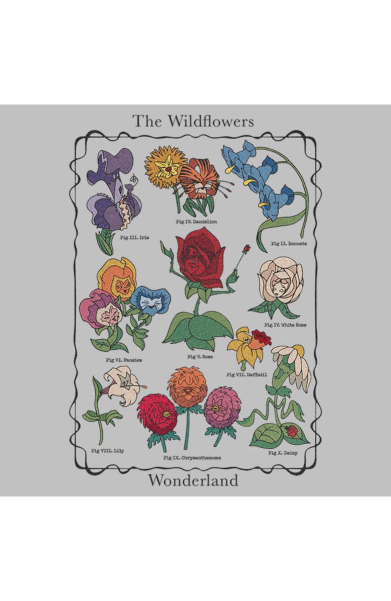 Alice in Wonderland Women's Alice in Wonderland The Wildflowers Chart Graphic T-Shirt, Alternate, color, Athletic Heather
