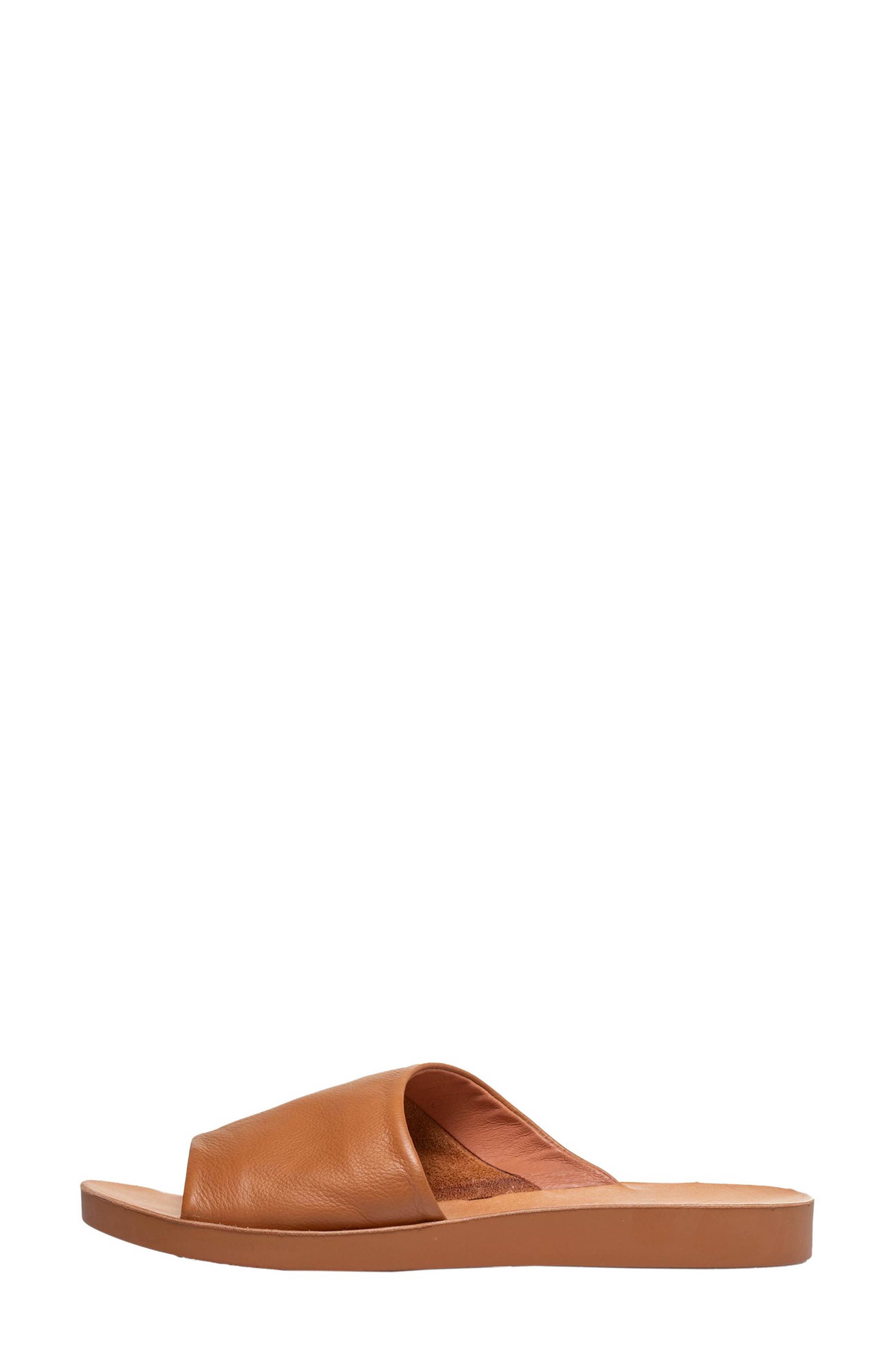 ANTELOPE Ami Leather Slide Sandal, Alternate, color, 