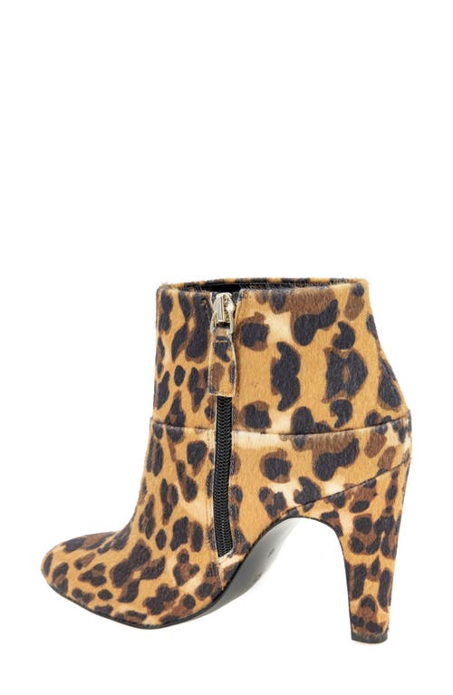 Bcbg Riverlin Bootie In Animal Print