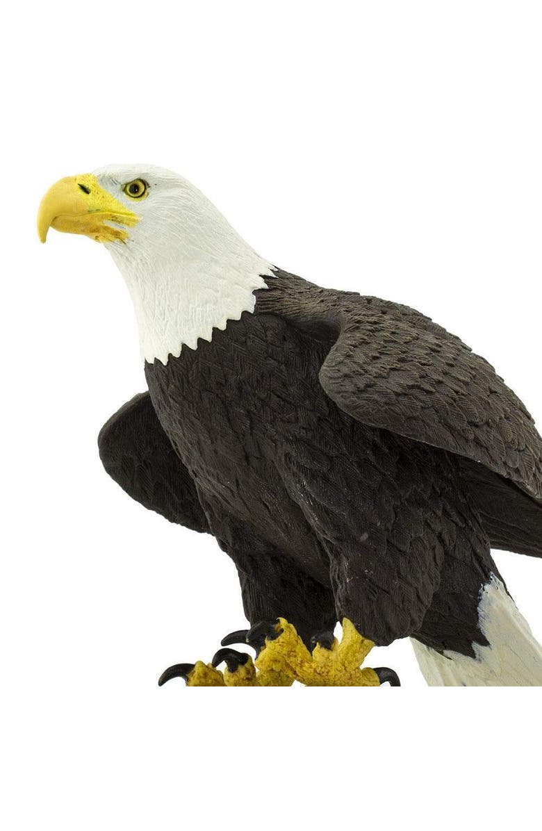 Safari Ltd. Bald Eagle Toy, Alternate, color, NO COLOR