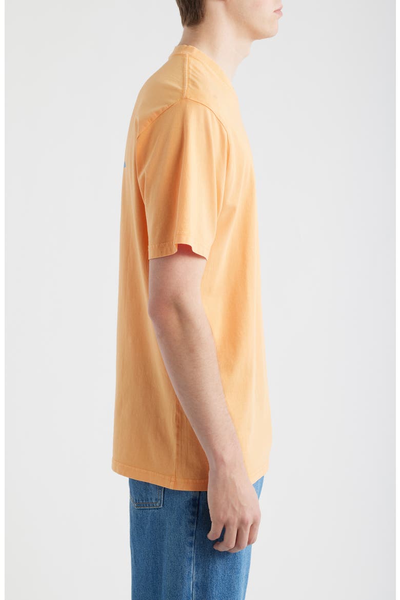Search Icon Organic Cotton Graphic T-Shirt, Alternate, color, MANDARIN ZEST