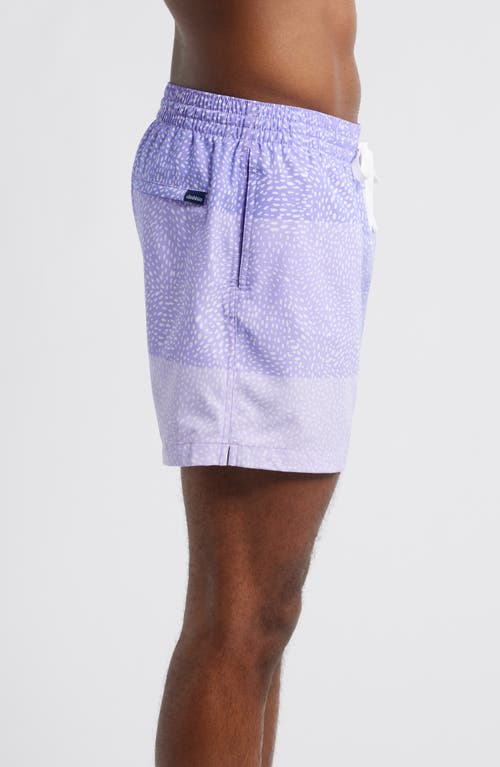 Chubbies The Gem Whale Sharks Classic 5.5-inch Swim Trunks In Bright Purple