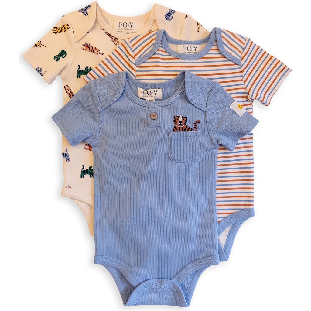 Joy Just Organic You Assorted 3-pack Organic Cotton Bodysuits