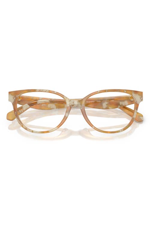 Tory Burch 53mm Phantos Optical Glasses In Honey Horn