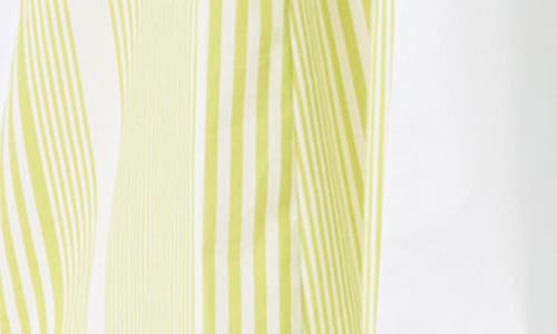 Do By Dee Ocleppo Ava Long Sleeve Stretch Cotton Shirtdress In Apple Green- Shirting Stripe