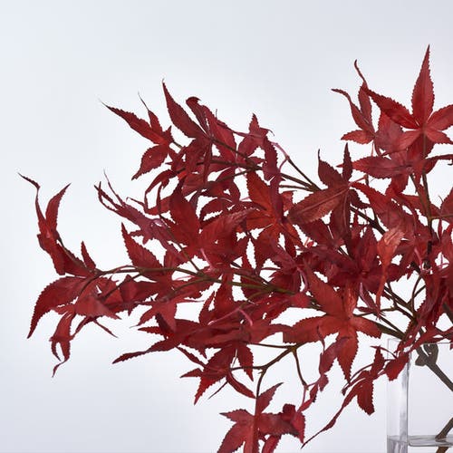 Darby Creek Trading Lifelike Red Japanese Maple Branches In Red