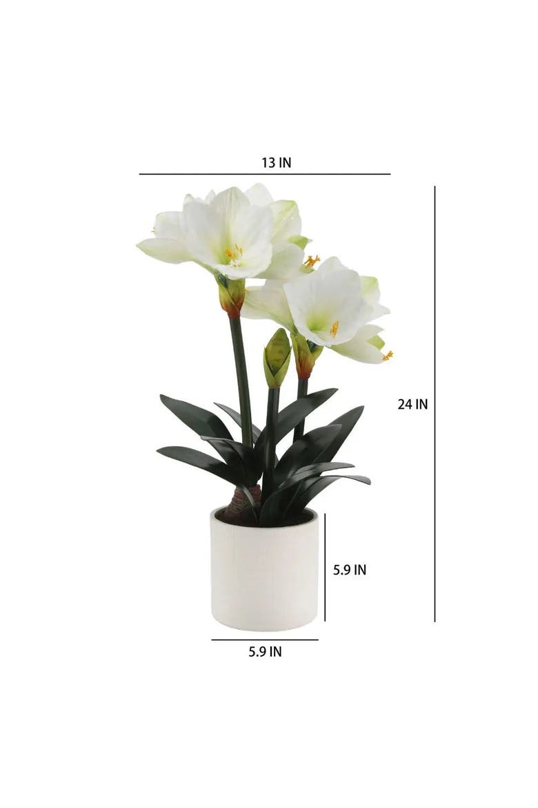 24" White Amaryllis Arrangement in Pot, Alternate, color, White