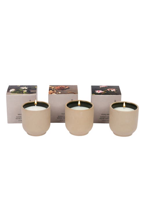 Homecourt Candle Discovery Set $75 Value In Brown