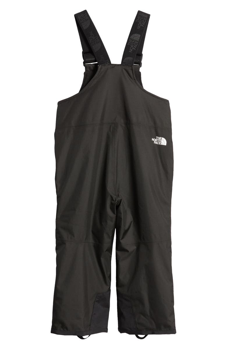 The North Face Kids' Freedom Insulated Snow Bib Overalls, Alternate, color, 