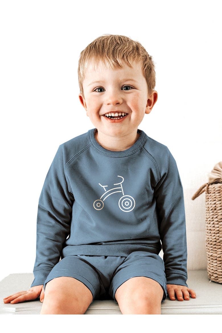 Sweatshirt - Baby, Alternate, color, Bike