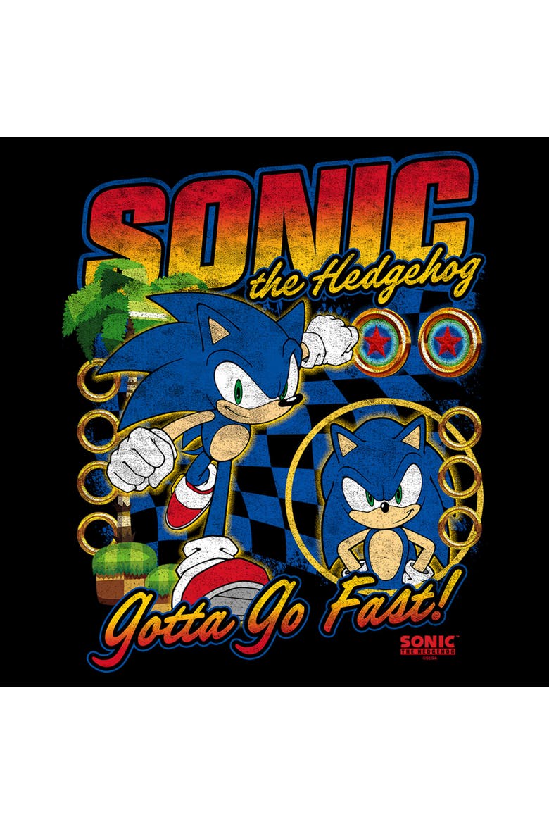 Men's Sonic the Hedgehog Gotta Go Fast Distressed  Graphic T-Shirt, Alternate, color, Black