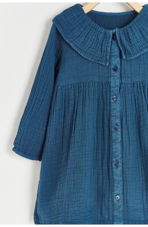 Babycottons Dress Sophie Purple For Infant In Blue