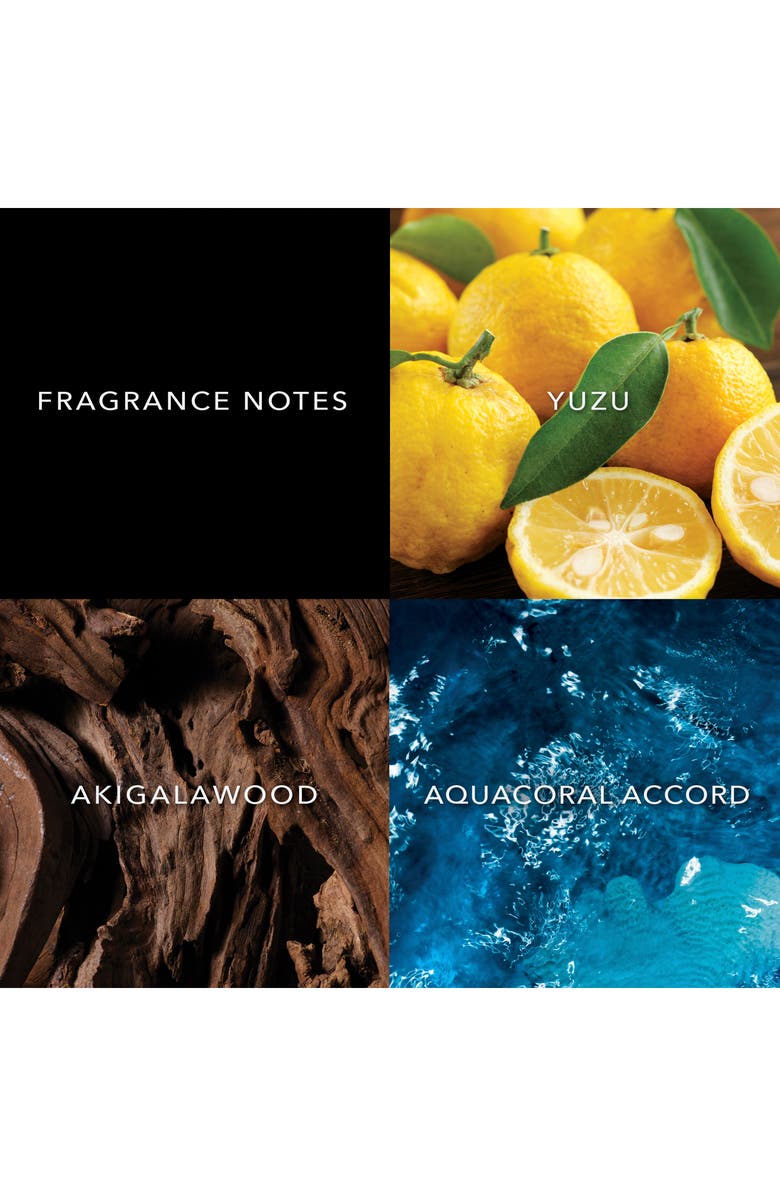 John Varvatos Artisan Costiero Eau de Parfum, Alternate, color, 