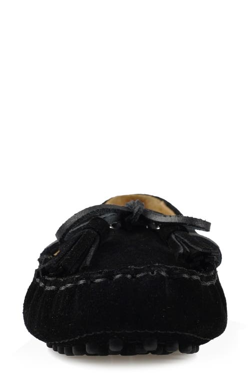 National Comfort Shyanne Suede Loafer In Black Suede