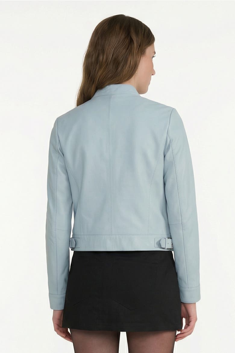 Blair Leather Jacket, Alternate, color, Blue