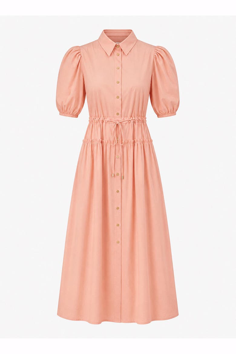 Kamryn Midi Dress, Alternate, color, SALMON