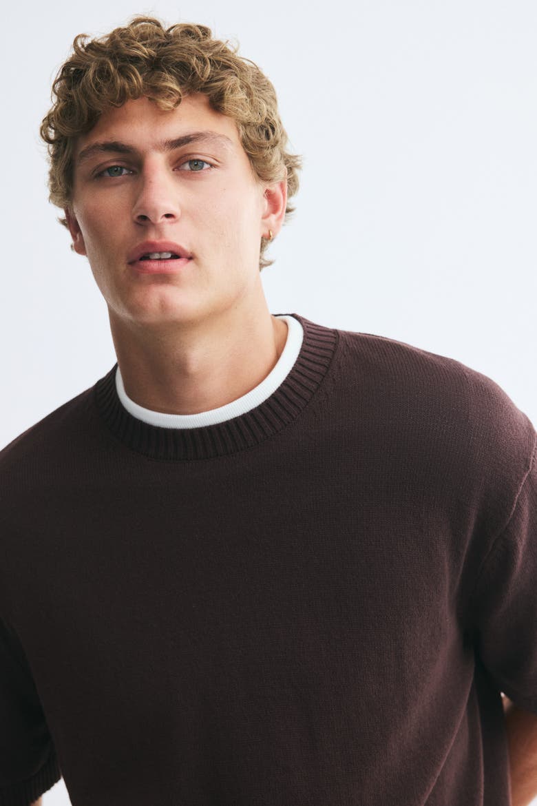Regular-fit Knit T-shirt, Alternate, color, Dark brown