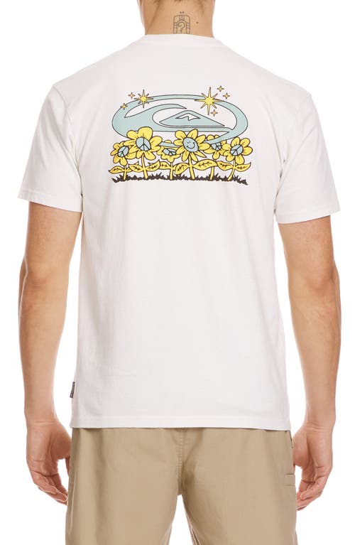 Quiksilver Nature Magic Graphic T-shirt In Tofu