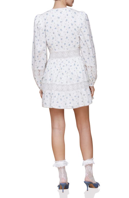 Avec Les Filles Lace Trim Long Sleeve Cotton Minidress In Scattered Ditsy
