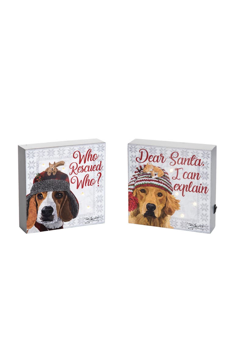 Light-Up LED Two Can Art Dog Block A/2, Main, color, Gray