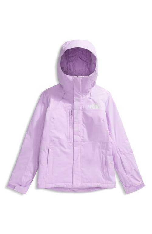 The North Face Freedom Insulated Waterproof Hooded Jacket In Purple