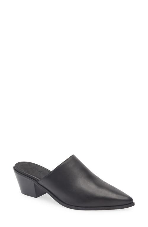 Chocolat Blu Cellia Pointed Toe Mule In Black
