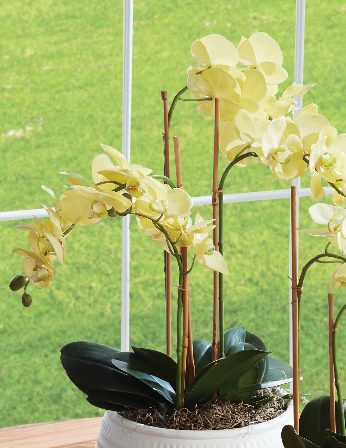 Napa Home & Garden Phalaenopsis Orchid Artificial Plant - Thumbnail 4