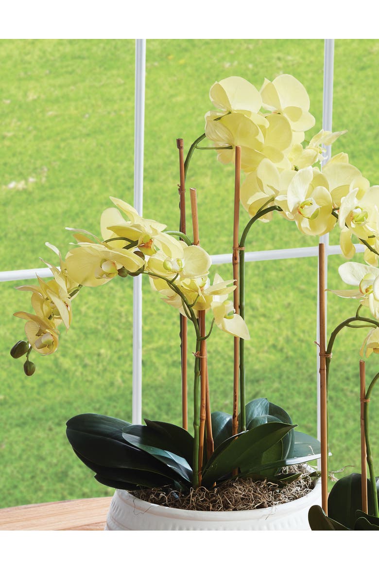 Phalaenopsis Orchid Artificial Plant Drop-In, Alternate, color, Yellow