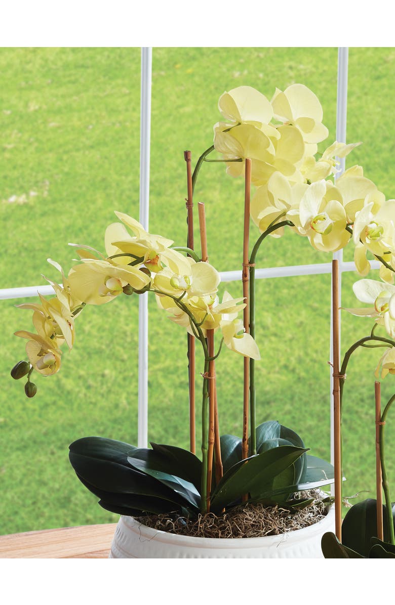 Napa Home & Garden Phalaenopsis Orchid Artificial Plant Drop-In, Alternate, color, Yellow