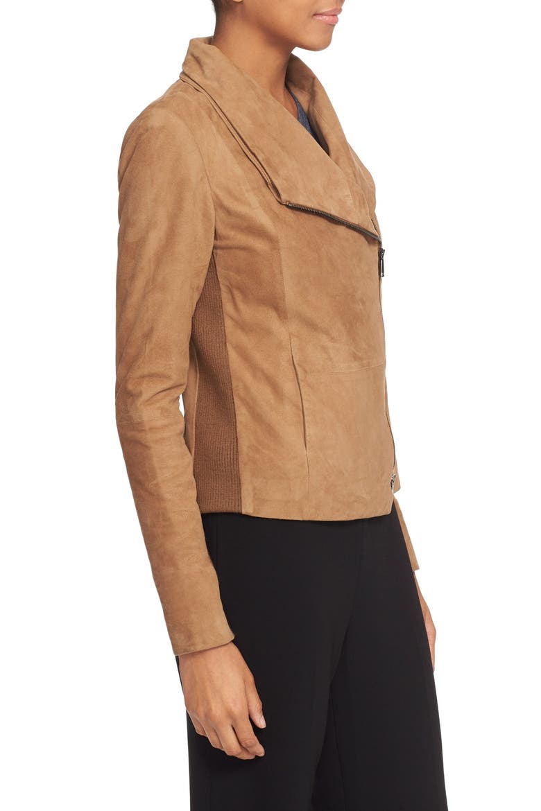 Suede Scuba Jacket, Alternate, color, TAUPE